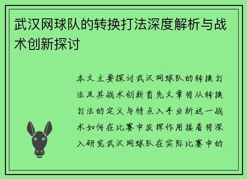 武汉网球队的转换打法深度解析与战术创新探讨